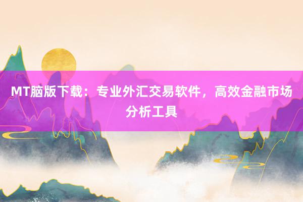 MT脑版下载：专业外汇交易软件，高效金融市场分析工具
