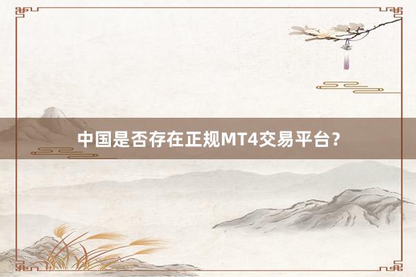 中国是否存在正规MT4交易平台？