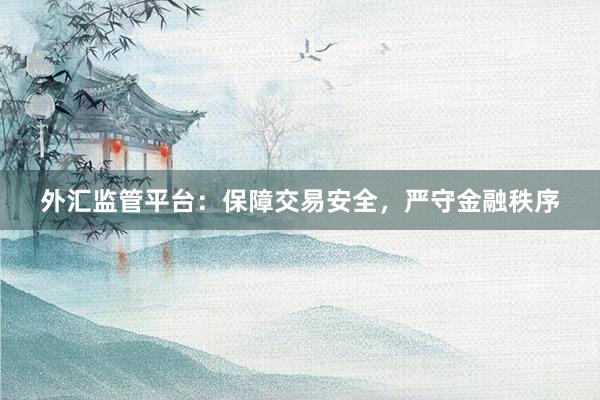 外汇监管平台：保障交易安全，严守金融秩序