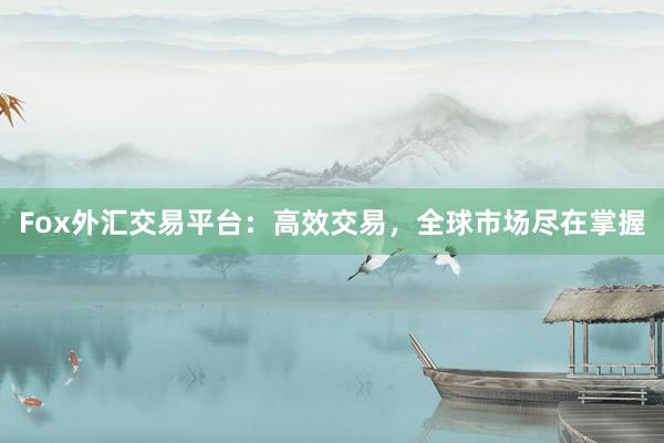 Fox外汇交易平台：高效交易，全球市场尽在掌握