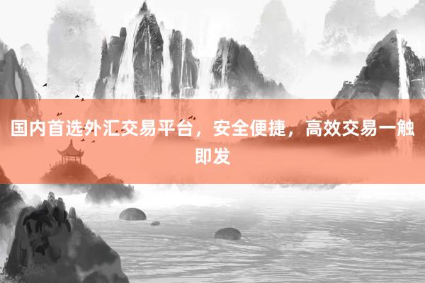 国内首选外汇交易平台，安全便捷，高效交易一触即发